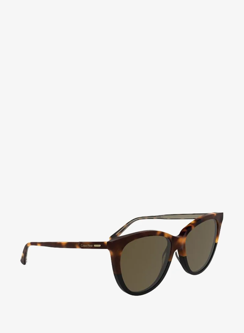 Calvin Klein  Butterfly Sunglasses for Women | Best Price UAE
