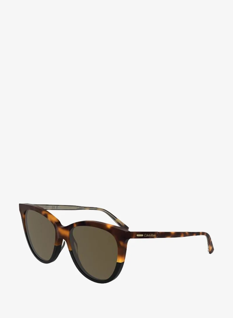 Calvin Klein  Butterfly Sunglasses for Women | Best Price UAE