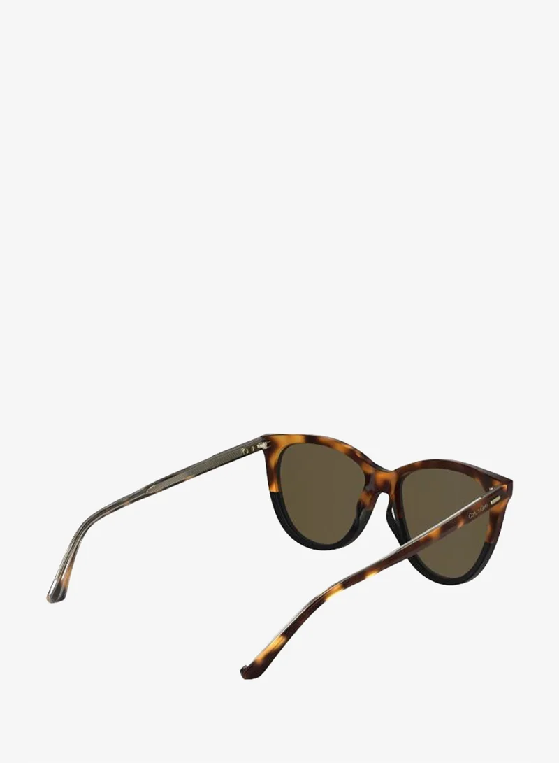 Calvin Klein  Butterfly Sunglasses for Women | Best Price UAE
