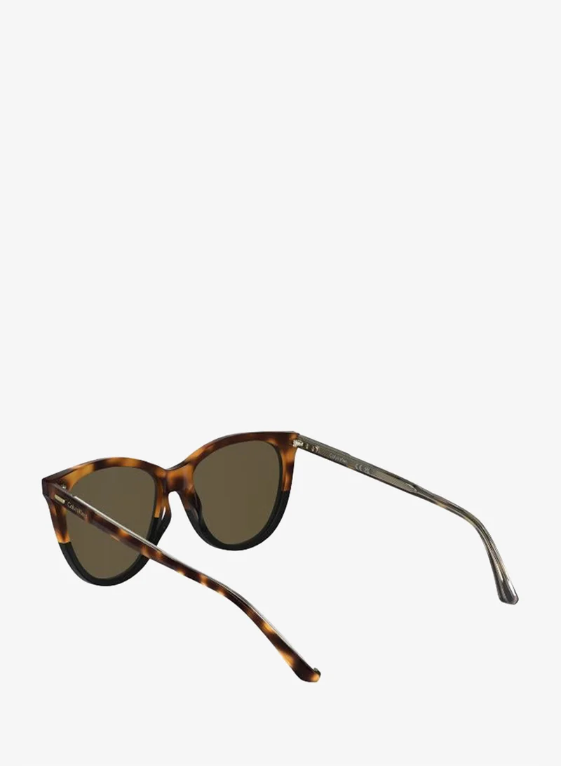 Calvin Klein  Butterfly Sunglasses for Women | Best Price UAE