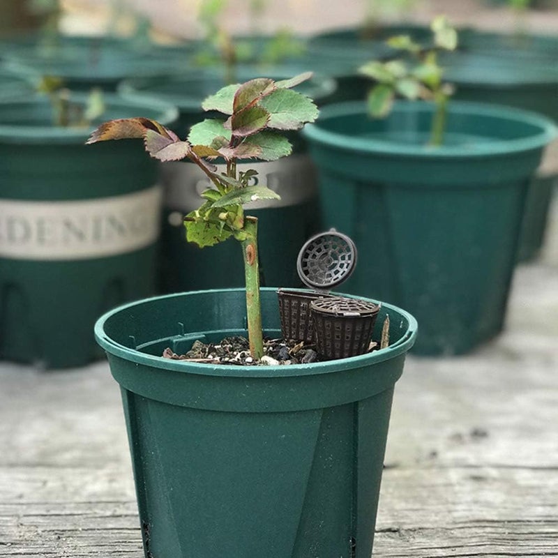 woobles 50pcs Fertilizer Baskets for Garden Flower Osmocote Plant Pot Potted Holder S 4X3CM Black 50pcs - Image 3