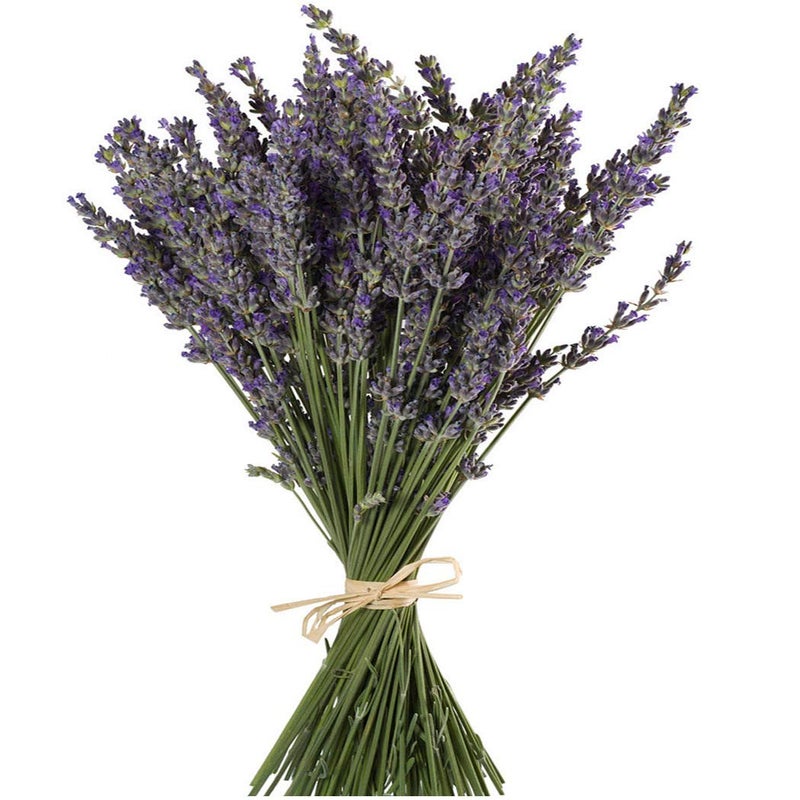 TooGet TooGet Natural Lavender Bundles Freshly Harvested 400 Stems Dried Lavender Bunch 16  18 Long Decorative Flowers Bouquet for Home Decor Crafts Gift Wedding or Any Occasion 