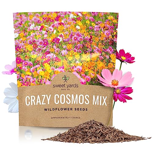 SWEET YARDS Cosmos Seeds Wildflower Mixture - Bulk 1 Ounce Packet - Over 5,000 Seeds - Pink, Yellow, Orange, Red, Purple and White Mixed Species! - Image 1