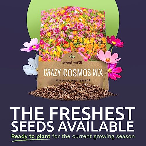 SWEET YARDS Cosmos Seeds Wildflower Mixture - Bulk 1 Ounce Packet - Over 5,000 Seeds - Pink, Yellow, Orange, Red, Purple and White Mixed Species! - Image 2