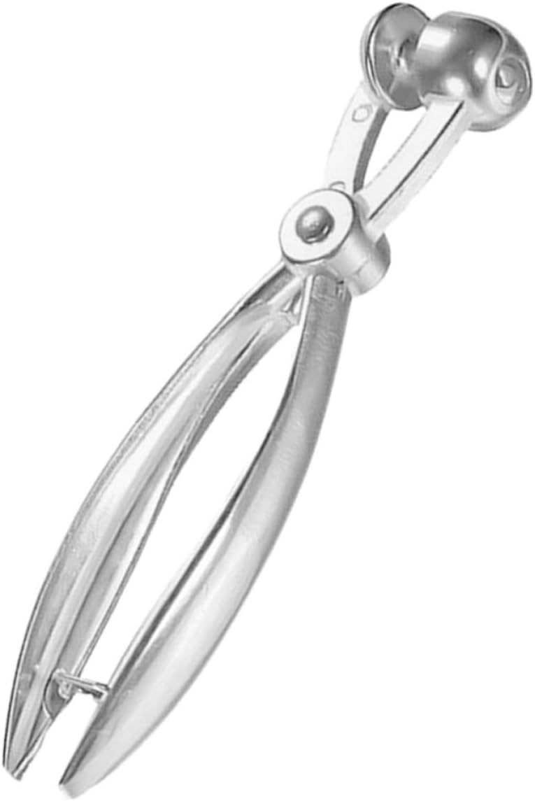 ABOOFAN Stainless Steel Cherry Pitter and Olive Pitter Tool, Sturdy Fruit Pit Remover for Cherries, Dates, Olives and Jujubes, Kitchen Corer for Home and Cooking Use - Image 1