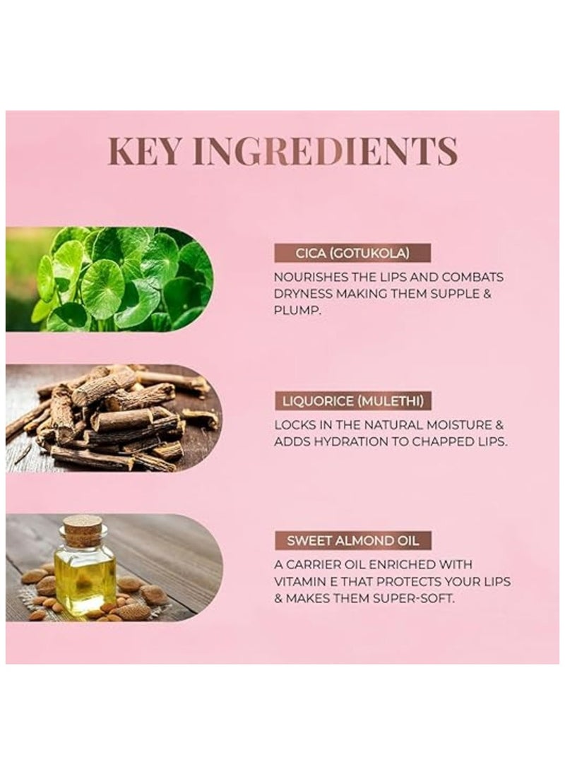 Just Herbs - Just Herbs Ayurvedic Liquid Lipstick Kit Set of 5 with Long Lasting Hydrating and lightweight Lip Colour Brights & Pinks Paraben & Silicon Free - Image 1