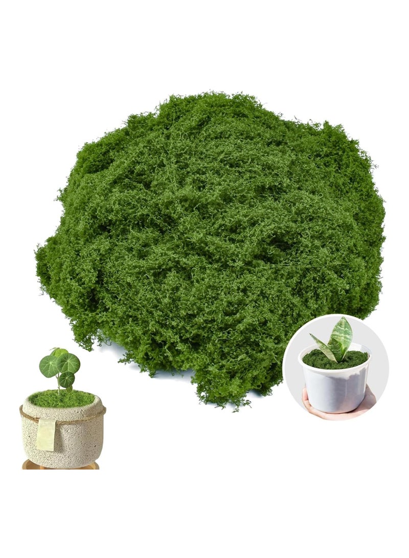 100 جرام من الطحالب الصناعية، الطحالب المزيفة، لأصص النباتات الداخلية والطحالب الزخرفية لحدائق المنزل والمشاريع الحرفية، مثالية للترتيبات الزهرية والديكورات المنزلية (أخضر غامق) - Image 1