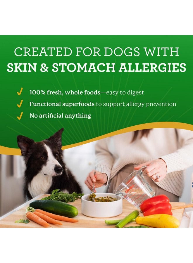 دي آر. هارفي وصفة ديك رومي خاصة بالحمية الغذائية للحساسية من دكتور هارفي، طعام للكلاب من الدرجة البشرية للكلاب التي تعاني من الحساسية والحساسية (5 أرطال) - Image 1