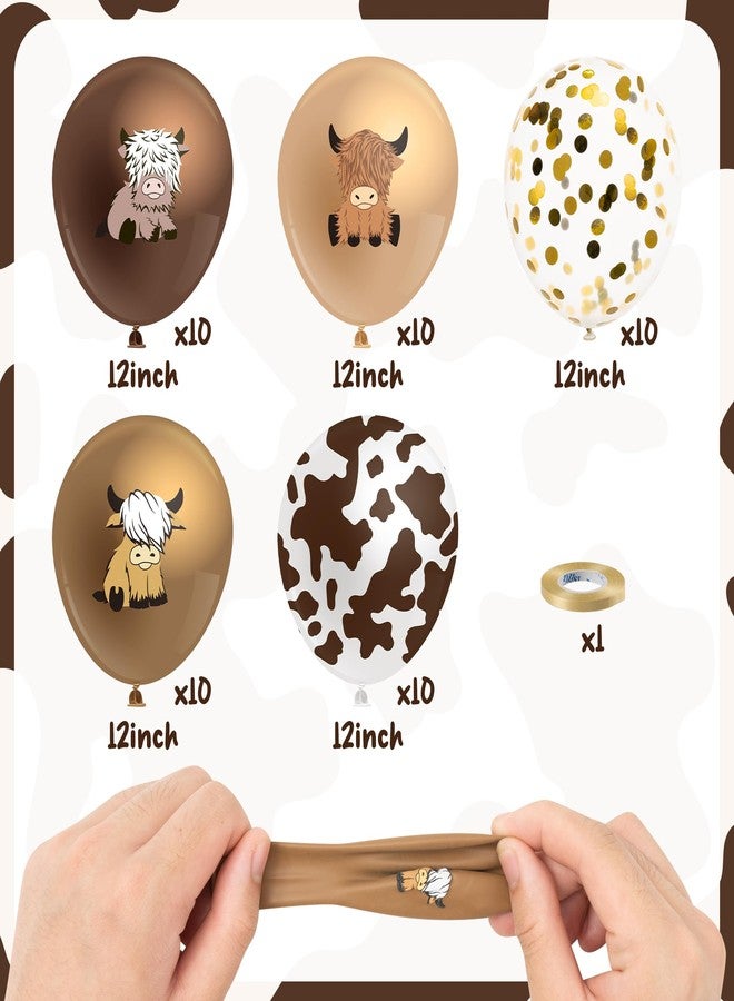 K1tpde Highland Cow Balloons Decorations - 50PCS Cute Brown Cow Latex Balloon Set for Kids Baby Shower Western Cowboy Party Decor for Farmhouse Birthday Party Supplies - Image 2