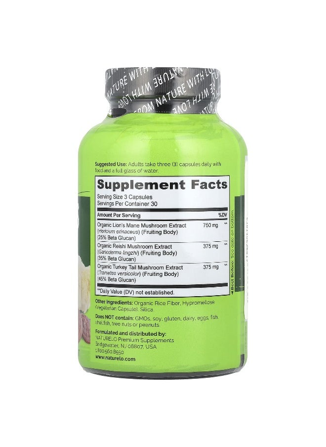 NATURELO NATURELO, Mushrooms, Brain + Immune Blend, 90 Vegetarian Capsules  - Image 2
