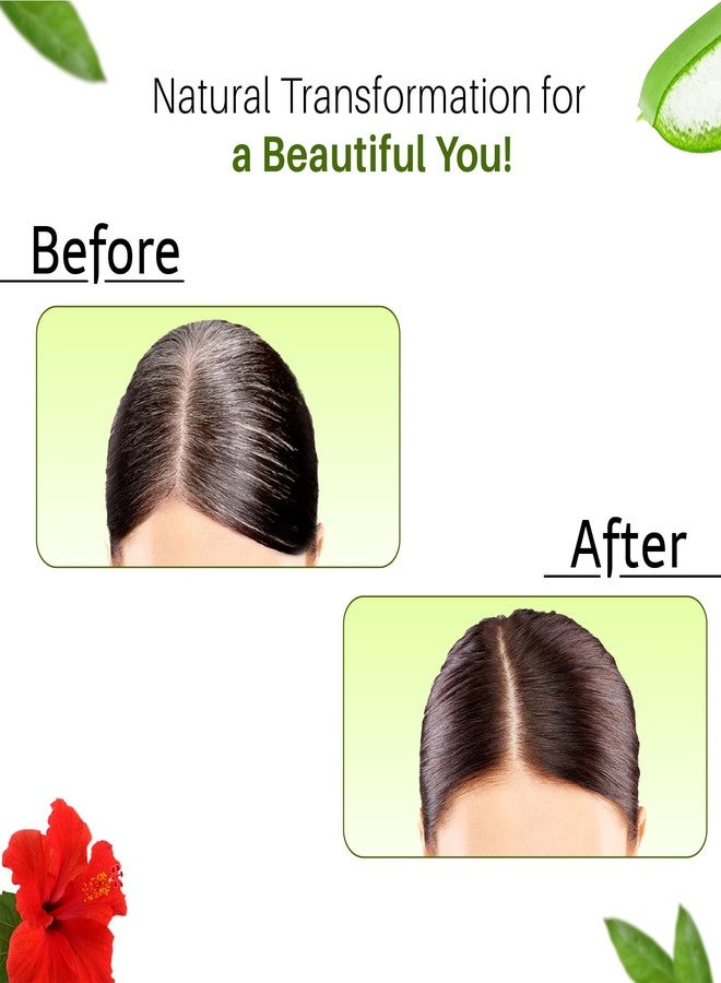 Neeta Henna Powder for Hair, Henna-Based Hair Color with Amla, Shikakai, Heena, Aloe Vera & Hibiscus for Smooth, Silky Hair, Adds Shine, Natural Brown, Herbal Formula with 5 Herbs - 50g per Pack, Pack of 6 - Image 3