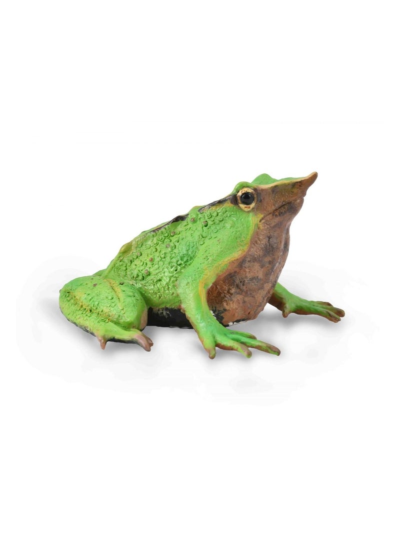 Collecta - Darwin's Frog - 88938