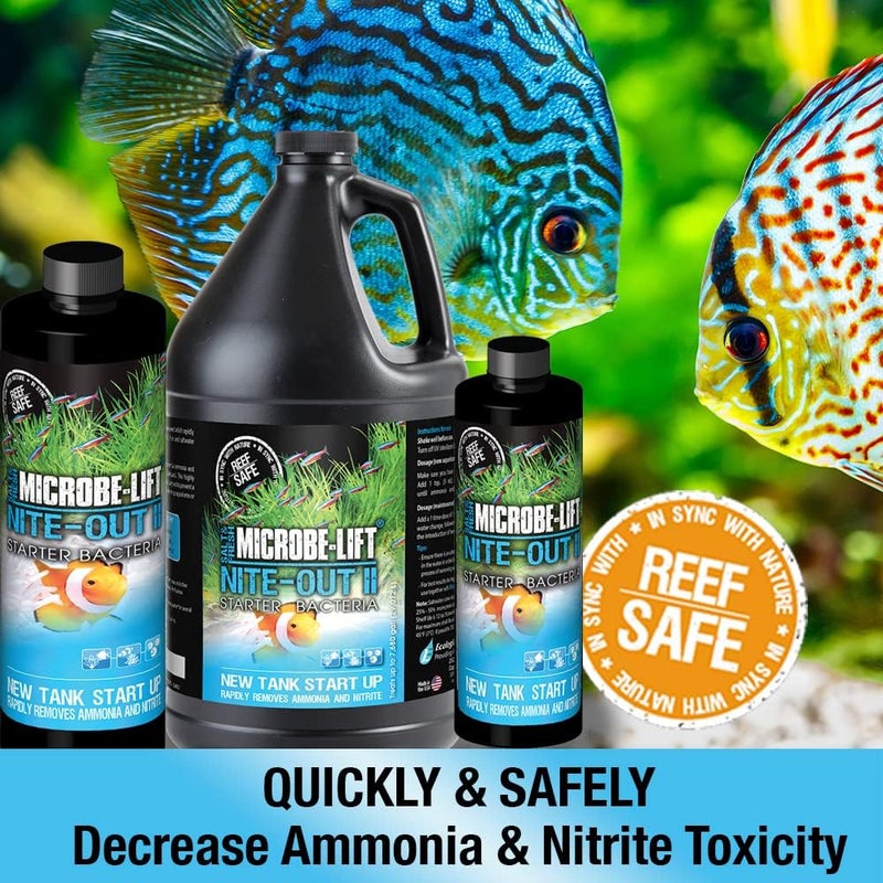 Microbe Lift MicrobeLift NiteOut II Starter Bacteria for Aquariums - 16 oz - Image 2