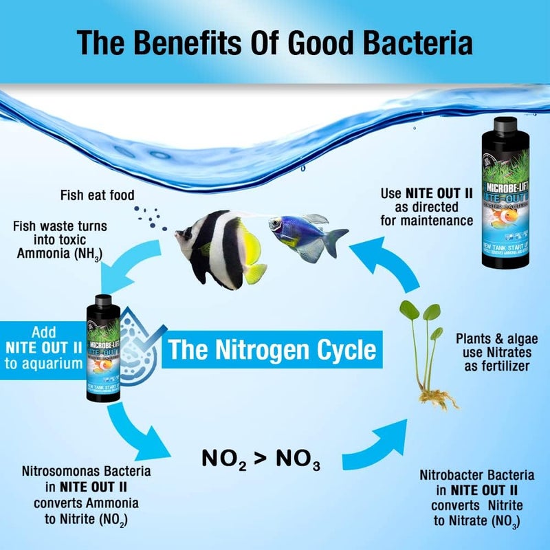 Microbe Lift MicrobeLift NiteOut II Starter Bacteria for Aquariums - 16 oz - Image 5