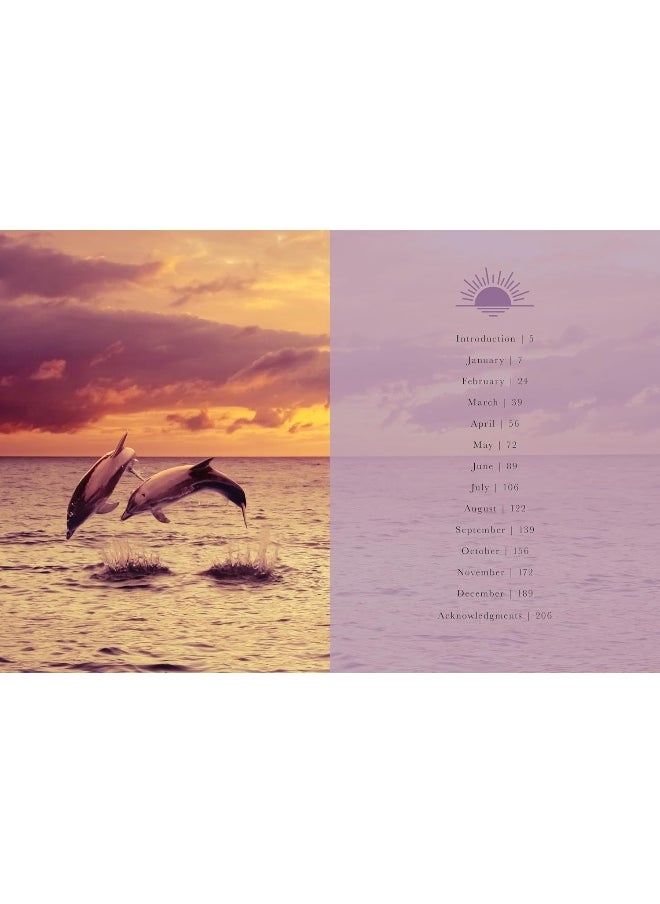 Sunset Gratitude: 365 Hopeful Meditations for Peaceful and Reflective Evenings All Year Long  - Image 4