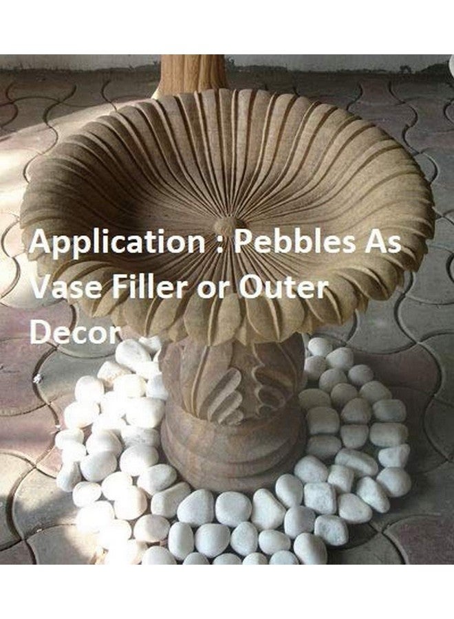 المزارع المبدع 2 كجم من حصى الرخام الأبيض غير المصقول لتزيين الحديقة (20-30 مم أبيض) [2 كجم] - Image 2