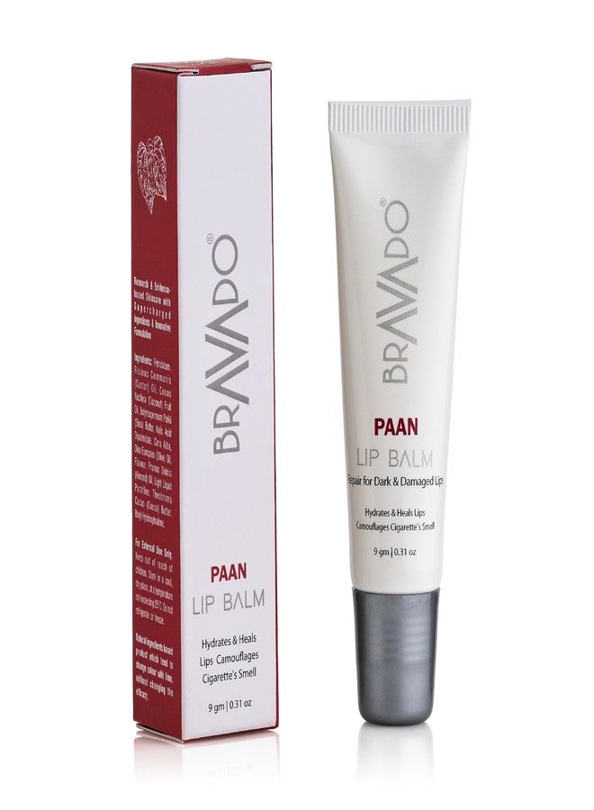 BRAVADO Lip Balm Paan (Pack of 4) Combo Pack | Hydrating & Moisturizing Lip Care for Men | Prevents Dry & Chapped Lips | Refreshing Paan Flavor | 10g Each - Image 2