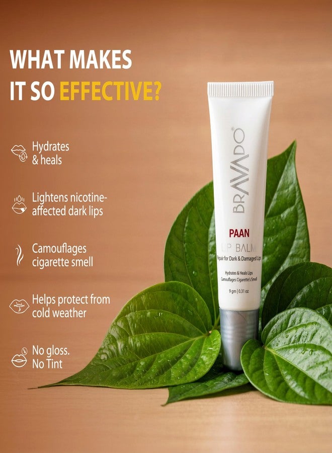 BRAVADO Lip Balm Paan (Pack of 4) Combo Pack | Hydrating & Moisturizing Lip Care for Men | Prevents Dry & Chapped Lips | Refreshing Paan Flavor | 10g Each - Image 5