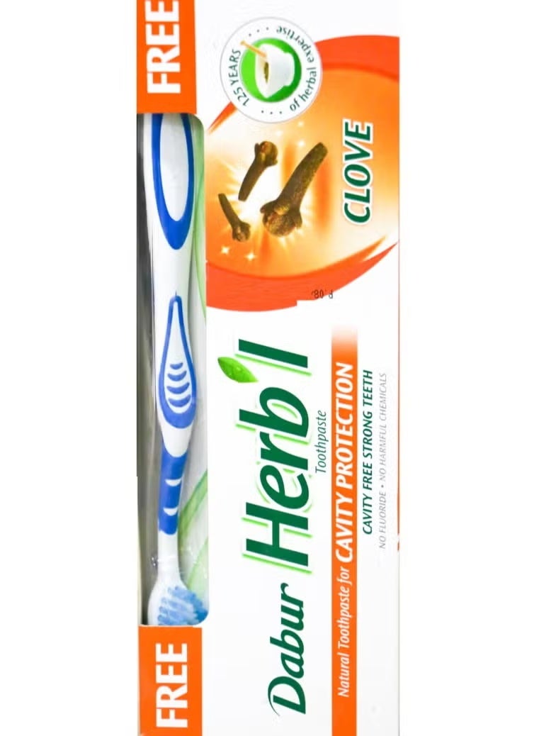 Dabur Herbl Clove Toothpaste 140g with Free Toothbrush