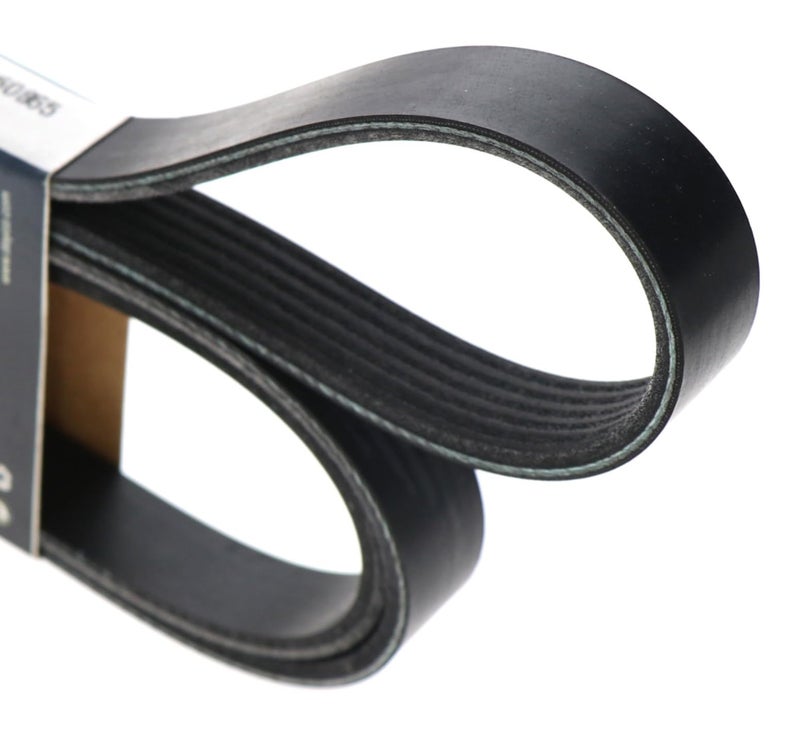 Dayco Serpentine Belt for 2015-2023 Ram Promaster - 5060865 - Image 3