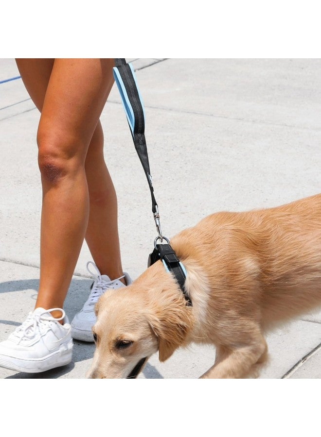 بلاك رينو طوق كلاب كبير جدًا من بلاك راينو - طوق كلاب عاكس قابل للتعديل ومتين مع بطانة من النيوبرين فائقة النعومة - مقاوم للعوامل الجوية ومتين ومريح - مثالي للكلاب النشطة - أزرق مائي ورمادي - Image 5