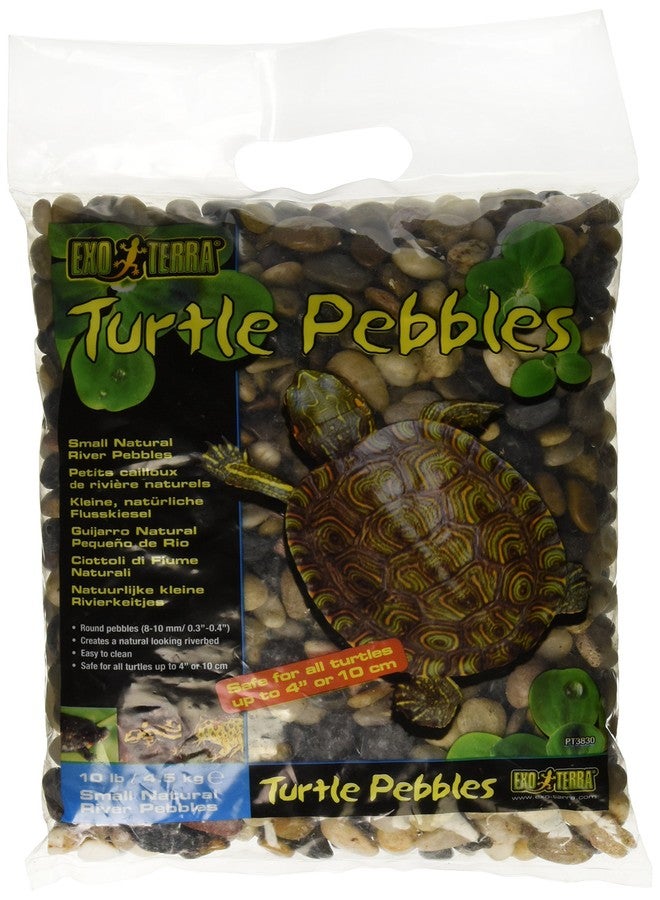 Exo Terra Turtle Pebbles, Small