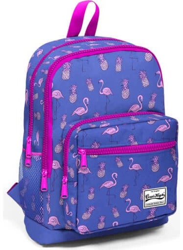 Coral High School Bag Flamingo Pattern 23112 - pzsku/ZF2E23945885E6EC5F6ACZ/45/_/1731032336/b5da70b0-c52b-4517-b497-d9f0fbf4c6f8