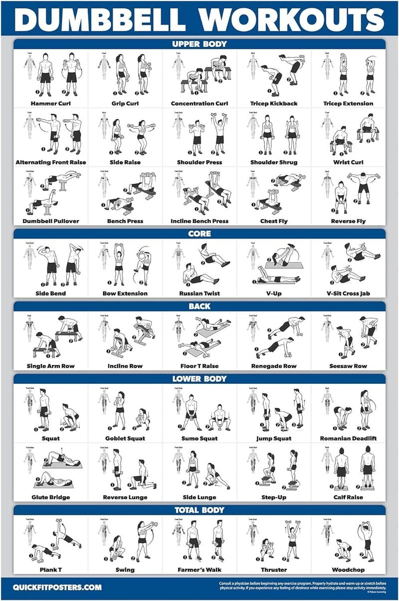 Palace Learning Dumbbell Workout Exercise Poster - Free Weight Body Building Guide | Home Gym Chart - LAMINATED, 18" x 24" - Image 1