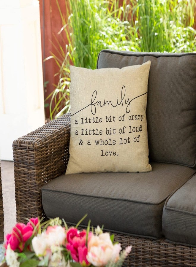 Fjfz Family a Little Bit of Crazy Decorative Throw Pillow Covers, Farmhouse Quote Home Rustic Decorations, Christmas Inspirational Gifts Winter Cotton Linen Cushion Case Decors for Sofa Couch 18 × 18 - Image 5