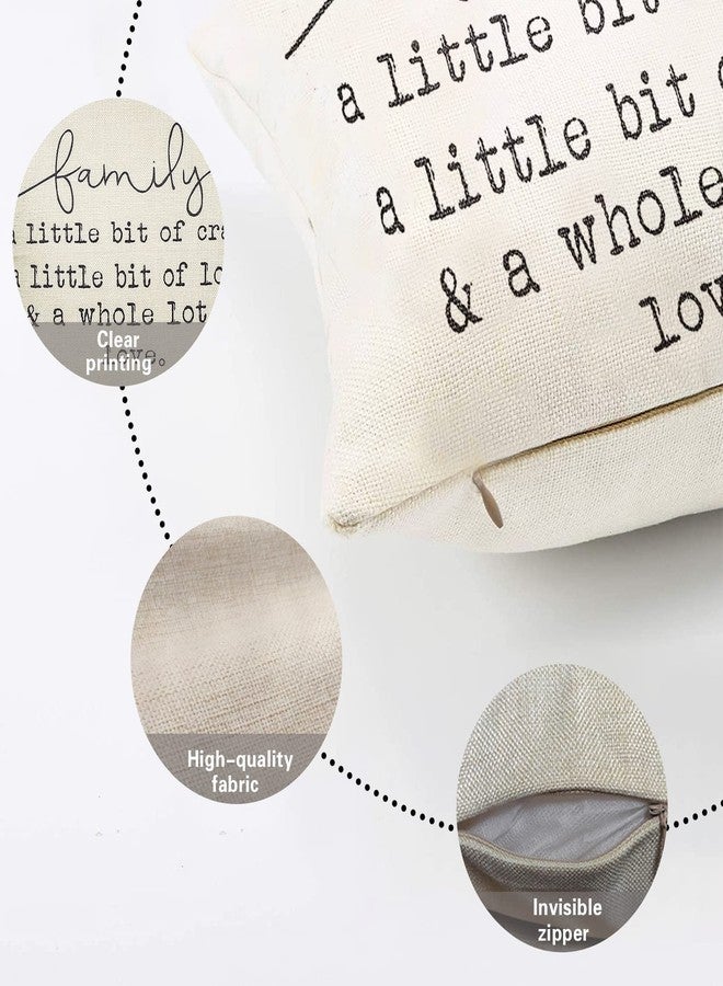 Fjfz Family a Little Bit of Crazy Decorative Throw Pillow Covers, Farmhouse Quote Home Rustic Decorations, Christmas Inspirational Gifts Winter Cotton Linen Cushion Case Decors for Sofa Couch 18 × 18 - Image 3