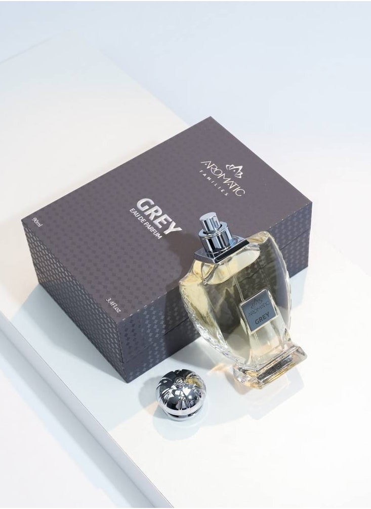 عطر جراي 90 مل - pzsku/ZF2E53E6C2FC0B4809010Z/45/_/1739782306/c3c63f0c-956f-40a9-9a5d-9ac81bc2e7c0