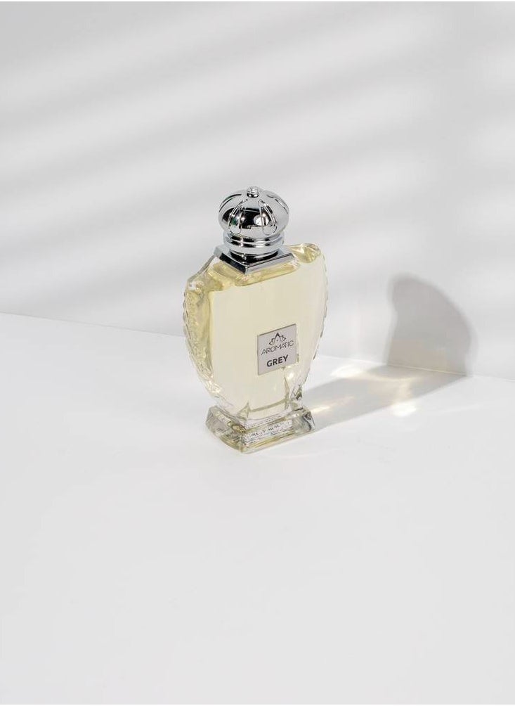 عطر جراي 90 مل - pzsku/ZF2E53E6C2FC0B4809010Z/45/_/1739782317/6ea4048b-cb4e-47b9-8c42-06adee9ec4bd