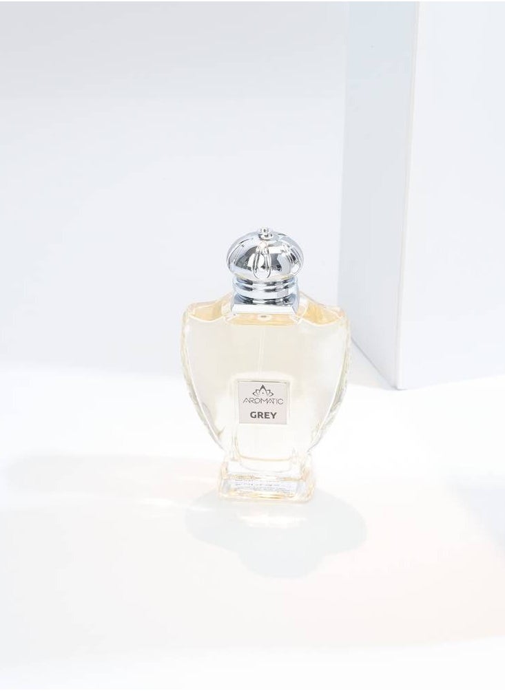 عطر جراي 90 مل - pzsku/ZF2E53E6C2FC0B4809010Z/45/_/1739782318/ed0a28f9-aa1e-43c8-b242-0184361f859f