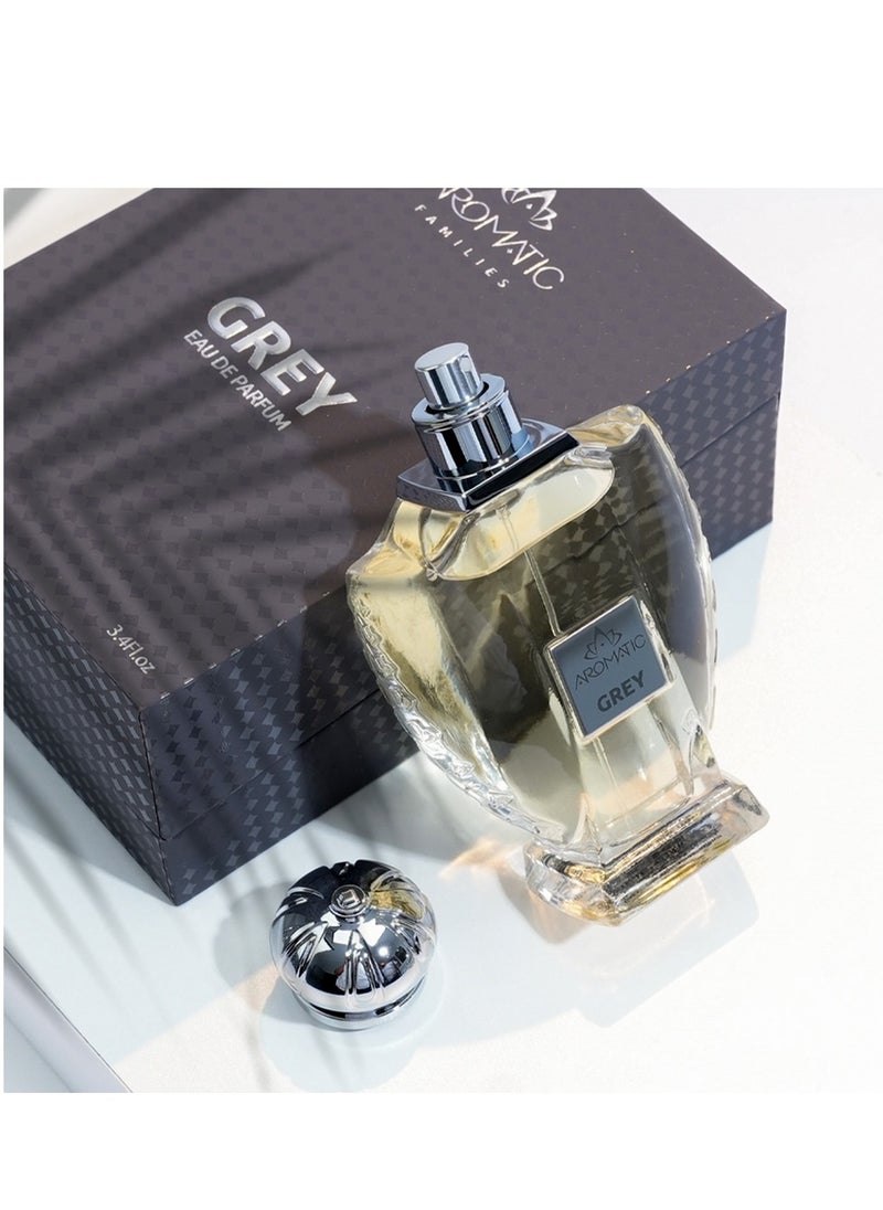 عطر جراي 90 مل - pzsku/ZF2E53E6C2FC0B4809010Z/45/_/1739962295/a6c6a896-da91-4348-8fde-75414e2e7f63