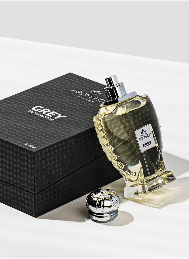 عطر جراي 90 مل - pzsku/ZF2E53E6C2FC0B4809010Z/45/_/1739962296/47b83811-53ca-424b-be58-015d9014ee89