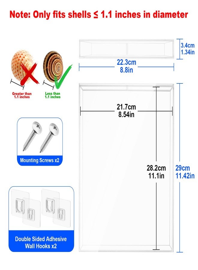 Homakover 8.5 x 11 Inch Clear Acrylic Wall Mount Seashell Display Box, 3D Floating Display Case Shadow Box Frame, Ideal for Wine Bottle Caps, Tickets, Shells, Stamps and More - Image 2