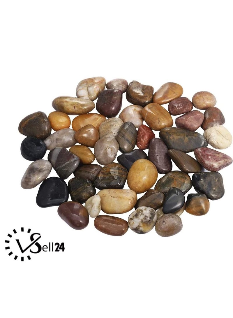 vsell24 2Kg Indian Stone Aquarium Pebbles - Natural Gravel for Fish Tanks and Aquatic Décor - Image 2