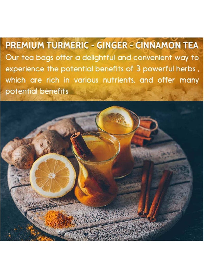 Wins Town Premium Turmeric Ginger Cinnamon Tea,Improve Digestion,Support Brain,Weight,Skin and Sleep,Eco-Conscious Tea Bags and Premium Natural Ingredients,Turmeric Ginger Herbal Tea,No Sugar,No Caffeine,No Gluten,Vegan - Image 3
