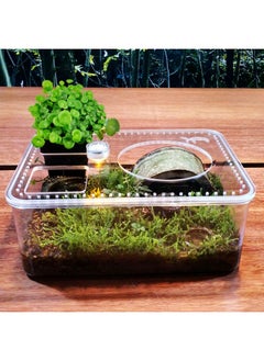 Saim Turtle Tank Kit, Acrylic Aquatic Turtle Tank, Full View Visually Tortoise Aquarium Habitat with Lid (Water Tank + led Light + Water Pump) for Turtles, Small Reptiles Betta Fish  - Image 4