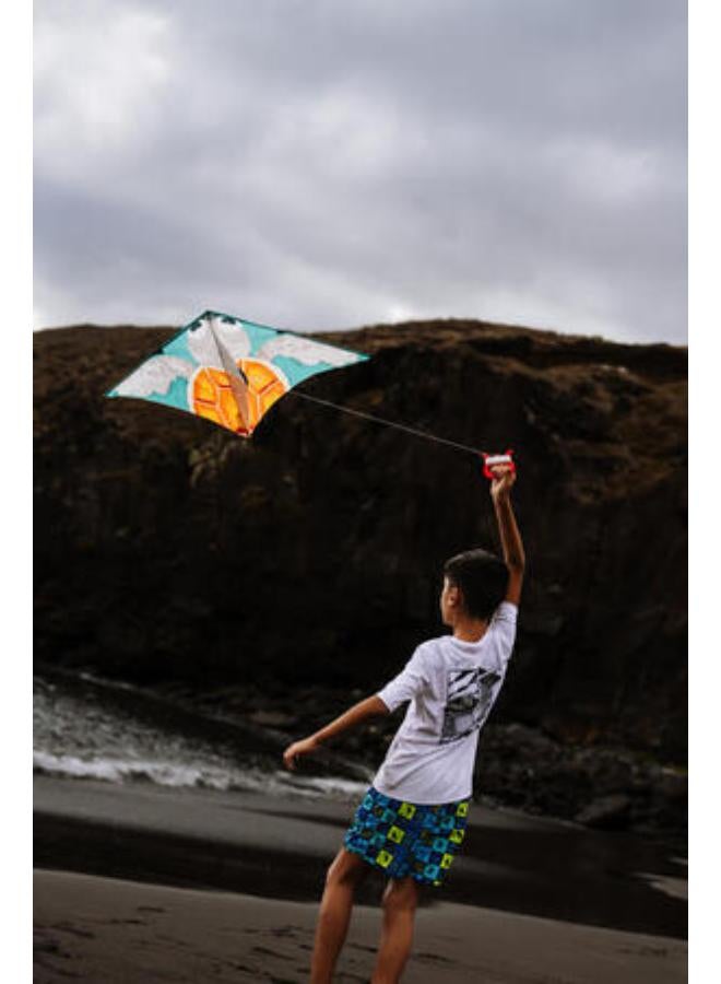 ترايبورد طائرة ورقية ثابتة برسمة سلحفاء للأطفال - Image 2