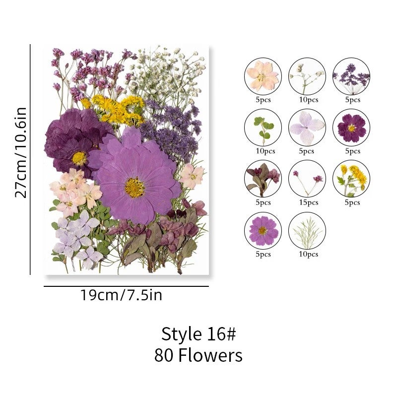 Bluejw ZS031 Real Pressed Dried Flowers – Natural Dried Plants for Candle Making, Resin Jewelry, Nail Art, Kitchen Decor, Pendant & DIY Craft Kits - Image 1