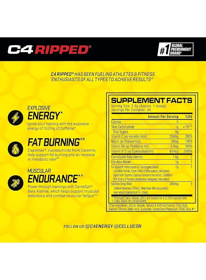 CELLUCOR سيلكور C4 ريبيد إكسبلوسيف بري-وورك آوت - نكهة الأزرق الجليدي - 30 حصة - Image 3