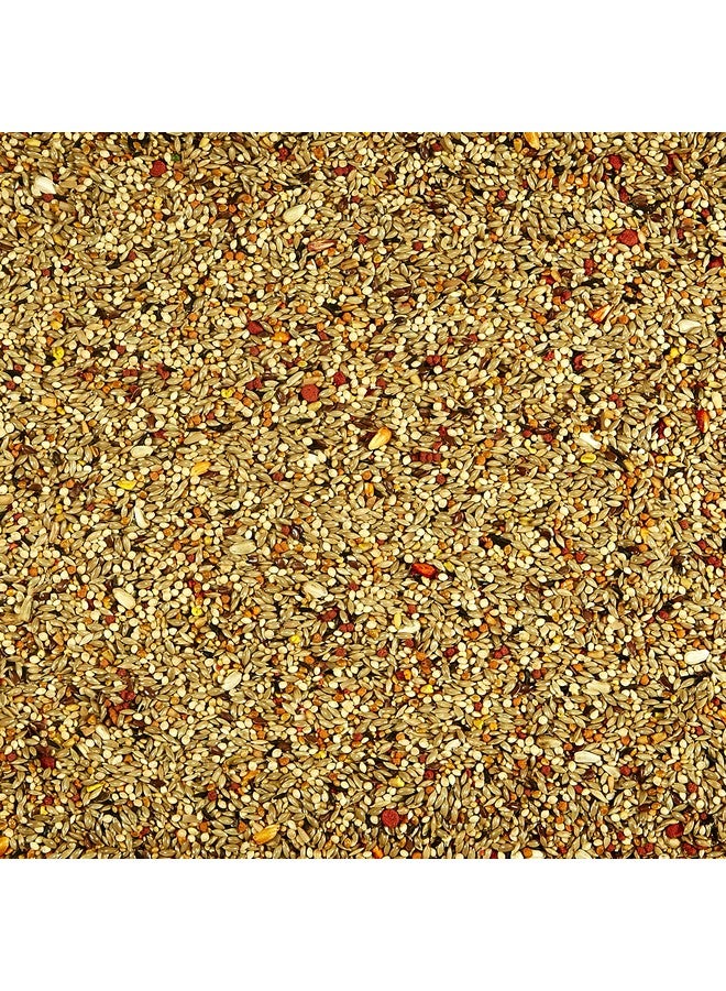 كايتي مكافأة بنكهة البرتقال من كايتي - ببغاء 10 أونصة - Image 3