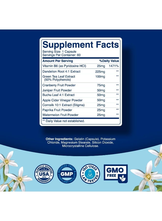 Phytoral Natural Water Pills Diuretics for Water Retention, Full Body Cleanse and Kidney & Stomach Support - Water Away Pills with Dandelion Leaf Extract, Green Tea & Vitamin B6 Perfect for Both Men & Women - Image 3