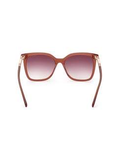 GANT Butterfly Sunglasses For Women - Shiny Light Brown  - Image 5