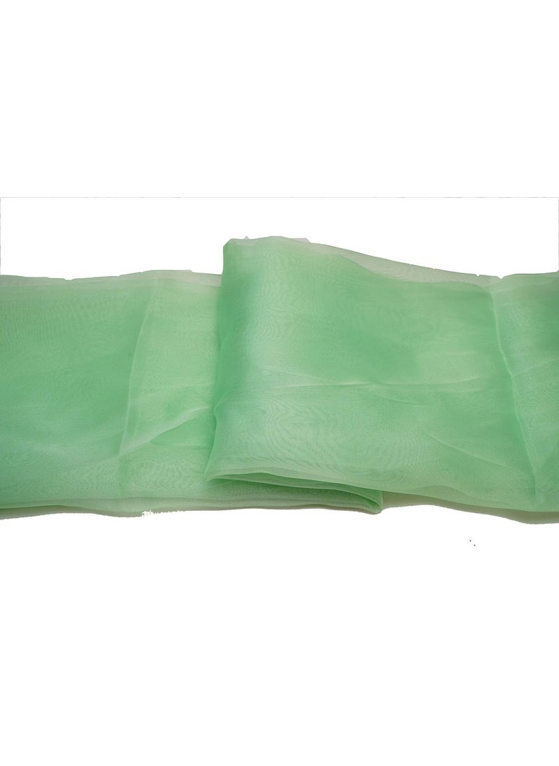 Pehnava Fab studio - Pehnava Fab Studio Tissue Organza Fabric for Dress Cloth Material for Use in Fancy Garments Making Frocks GownsDresses and Also Wrapping Party Wedding DecorationsSpringGreen1 Meter - Image 1