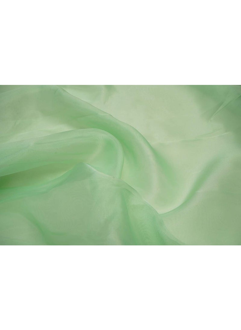 Pehnava Fab studio - Pehnava Fab Studio Tissue Organza Fabric for Dress Cloth Material for Use in Fancy Garments Making Frocks GownsDresses and Also Wrapping Party Wedding DecorationsSpringGreen1 Meter - Image 1