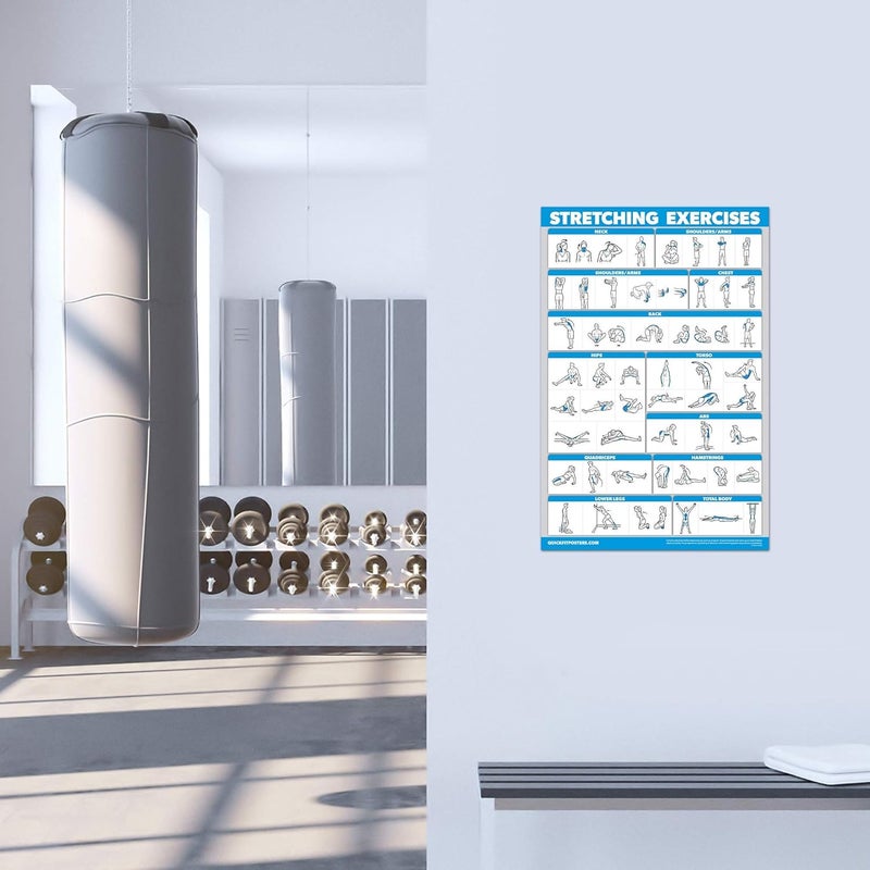 Palace Learning QUICKFIT Stretching Workout Exercise Poster - Stretch Routine (Laminated, 18" x 24") - Image 4