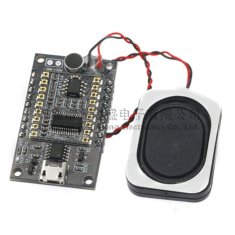 ASR-PRO AI Offline Speech Recognition Development Board Tianwen Learning Module Serial One-Click Download - Image 5