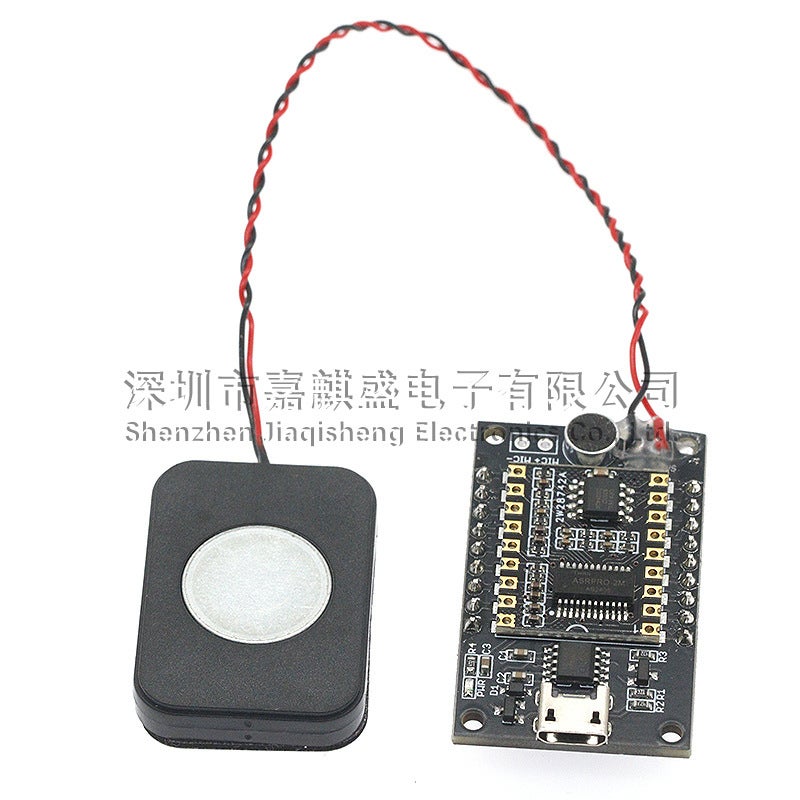 ASR-PRO AI Offline Speech Recognition Development Board Tianwen Learning Module Serial One-Click Download - Image 3